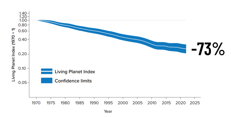 ZSLScience's tweet photo. The 2026 Living Planet Index, produced by ZSL, as presented in @WWF Living Planet Report, has been released🌍Global trends show that monitored wildlife populations have declined by an average of 73% in abundance between 1970 and 2022
🔗Read the full report https://t.co/BDVIWDn6UJ https://t.co/tKtStNDp3j