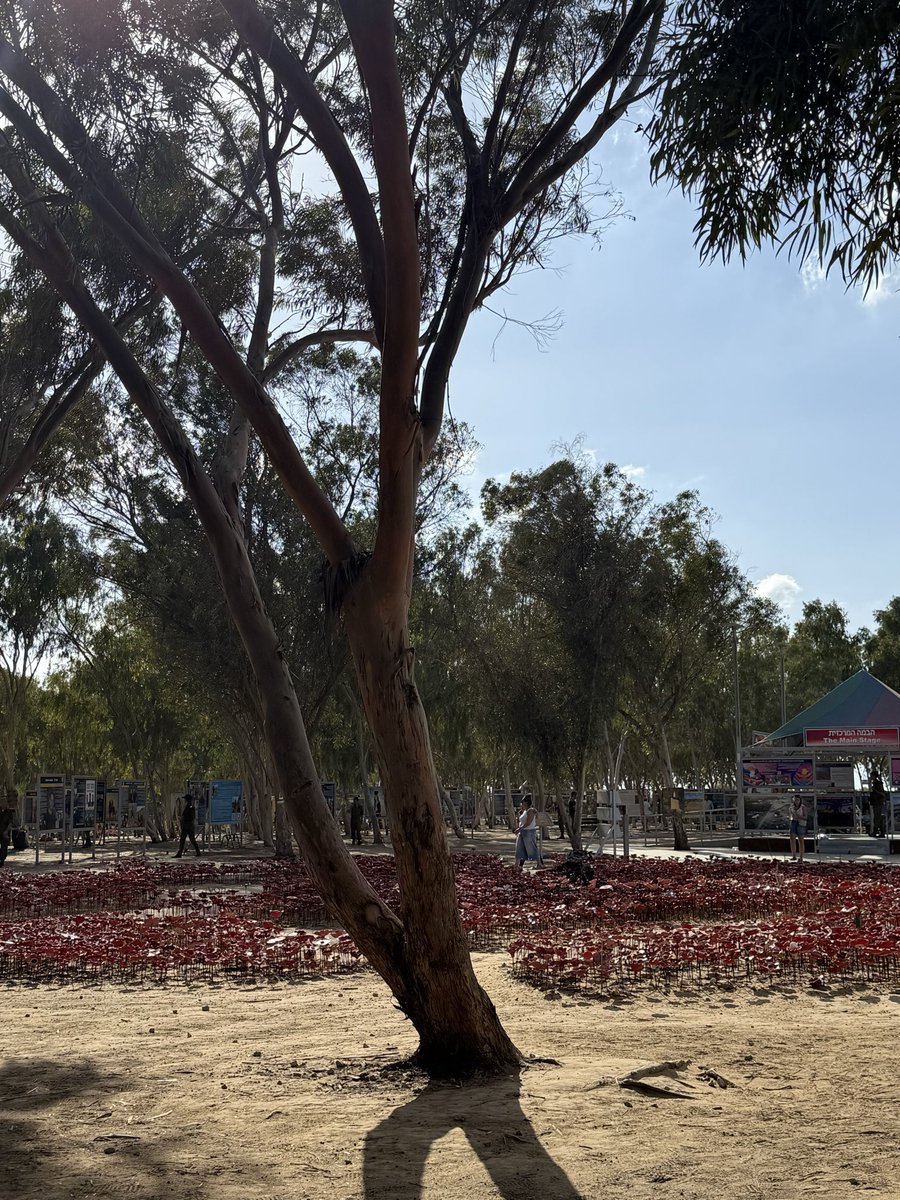 LucyCosme's tweet photo. Visita de recordatorio al lugar de la masacre del 7 de octubre, donde se celebró el festival Nova | Hoy oramos por miles de familias llenas de dolor, pérdidas y corazones rotos.   La esperanza volverá a florecer! #Israel https://t.co/xZGWTqrBkz