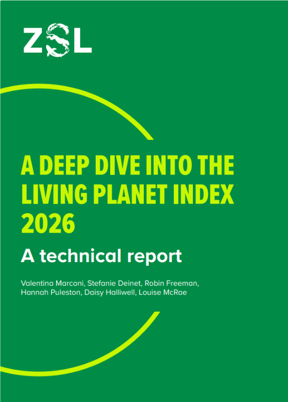 ZSLScience's tweet photo. How is the 2026 Living Planet Index produced, and what do its trends mean? 📊
ZSL’s Living Planet index technical report outlines the methodology, underlying data and explains how to interpret the results.
Read the full report: https://t.co/swRtqSV95i https://t.co/bVEkbQWvX4