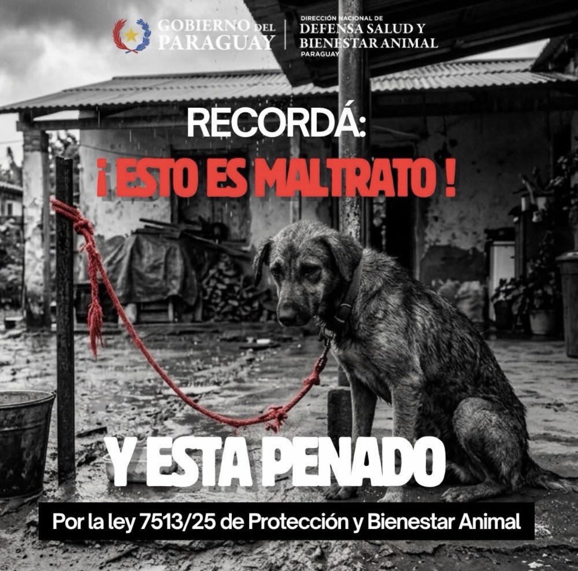 defensanimalpy's tweet photo. LA LLUVIA NO ES EXCUSA PARA EL ABANDONO NI EL MALTRATO.
En estos días de lluvia, no dejes a tu mascota atada, mojándose, pasando frío o expuesta a la intemperie.

Necesita un lugar seco, seguro y protegido del viento, agua limpia, alimento y cuidados. https://t.co/icvNKUjmDf