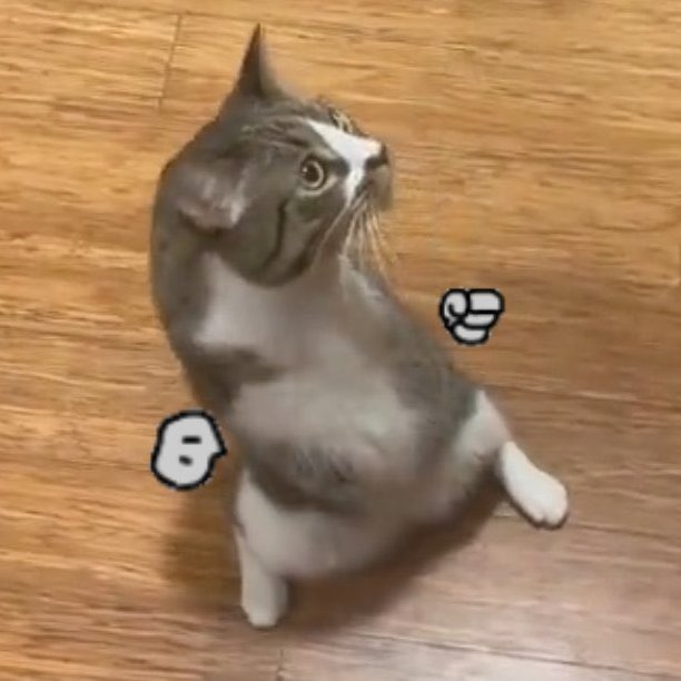 BluebriarArts's tweet photo. How it feels to be quite honest https://t.co/ff3Tbwokmn