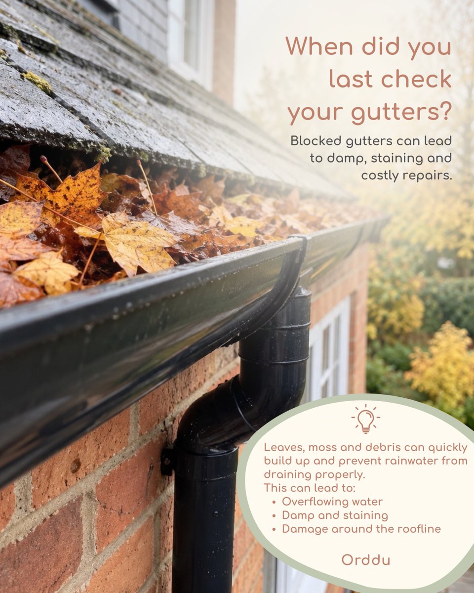 ordduapp's tweet photo. 🍂 When did you last check your gutters?

Leaves, moss and debris can quickly build up and stop rainwater from draining properly.

Left unchecked, overflowing water can contribute to damp, staining and damage around your roofline.

Have you checked yours? https://t.co/S5AquT7WDx