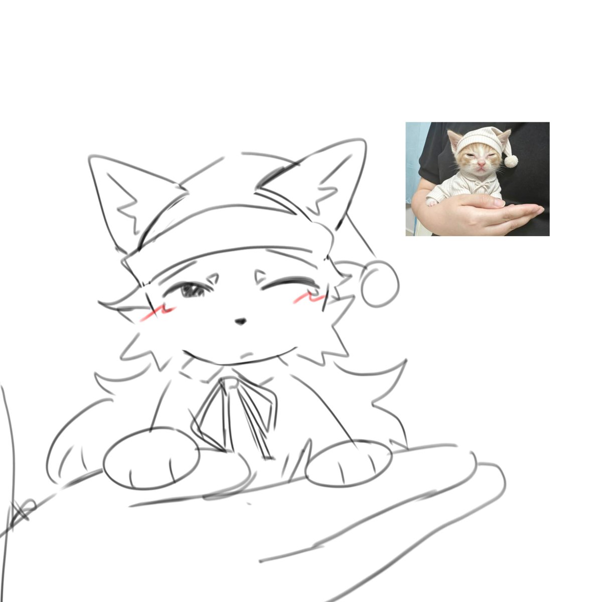 yururyu_0 tweet picture
