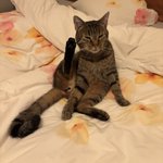 Photo by Kirsten @kiza72@social.cologne (@kiza72)