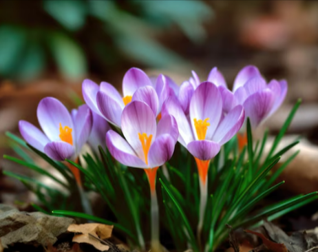 ShannonHypnotic's tweet photo. Stop trying to perform the roles you built to survive your 30s. They don't fit you anymore. Rediscover your best self through hypnotherapy. https://t.co/kAw9kZdtI0
#insomnia #menopausehealth #hotflashes #midlife #hypnotherapy https://t.co/nkOFWtaJfQ