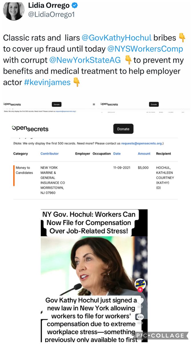LidiaOrrego1's tweet photo. @JustinBrannan @GovKathyHochul is the most corrupt Governor ever!! https://t.co/t9tFbSnRJw