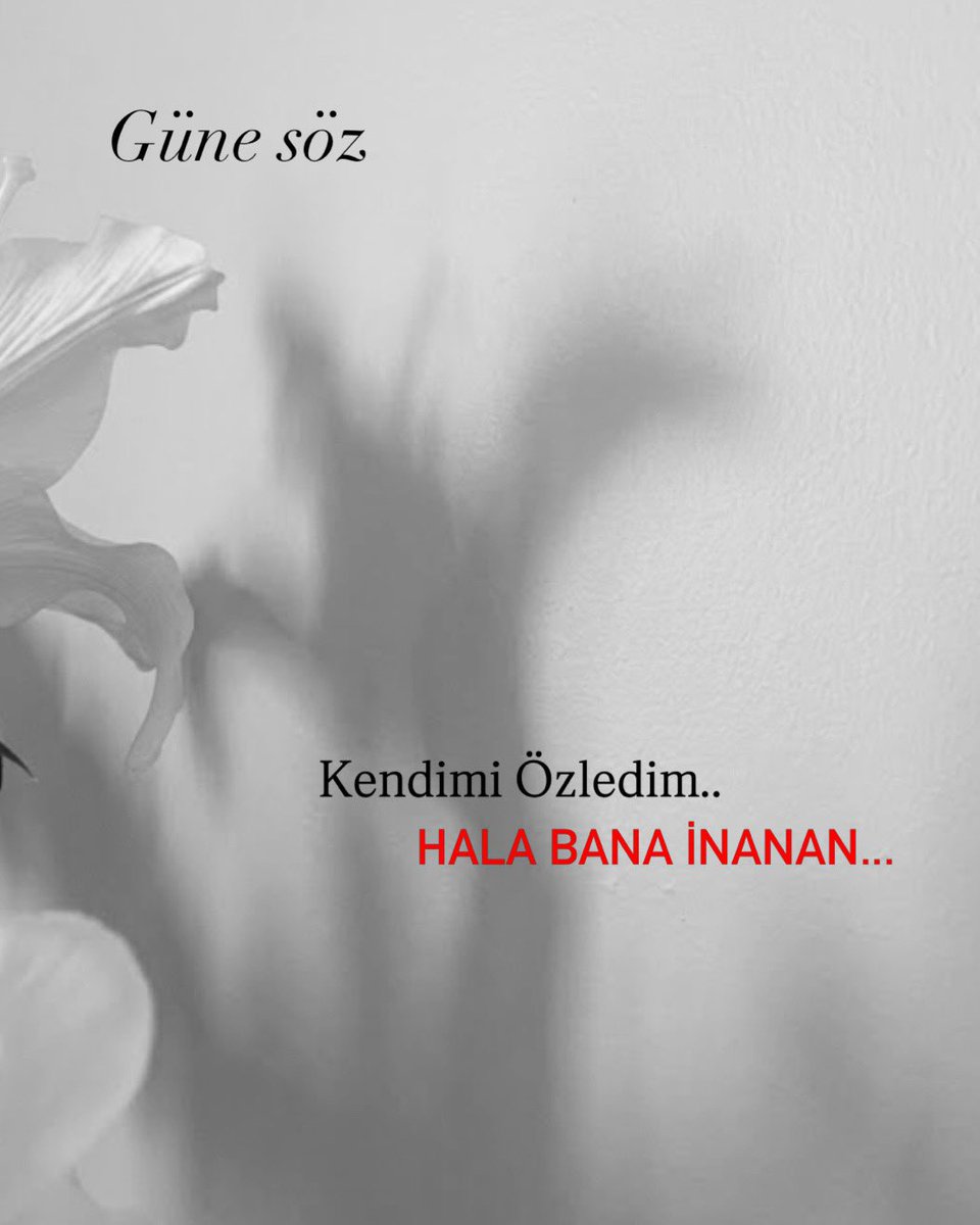 sozsihri's tweet photo. https://t.co/klJaVLof5Y