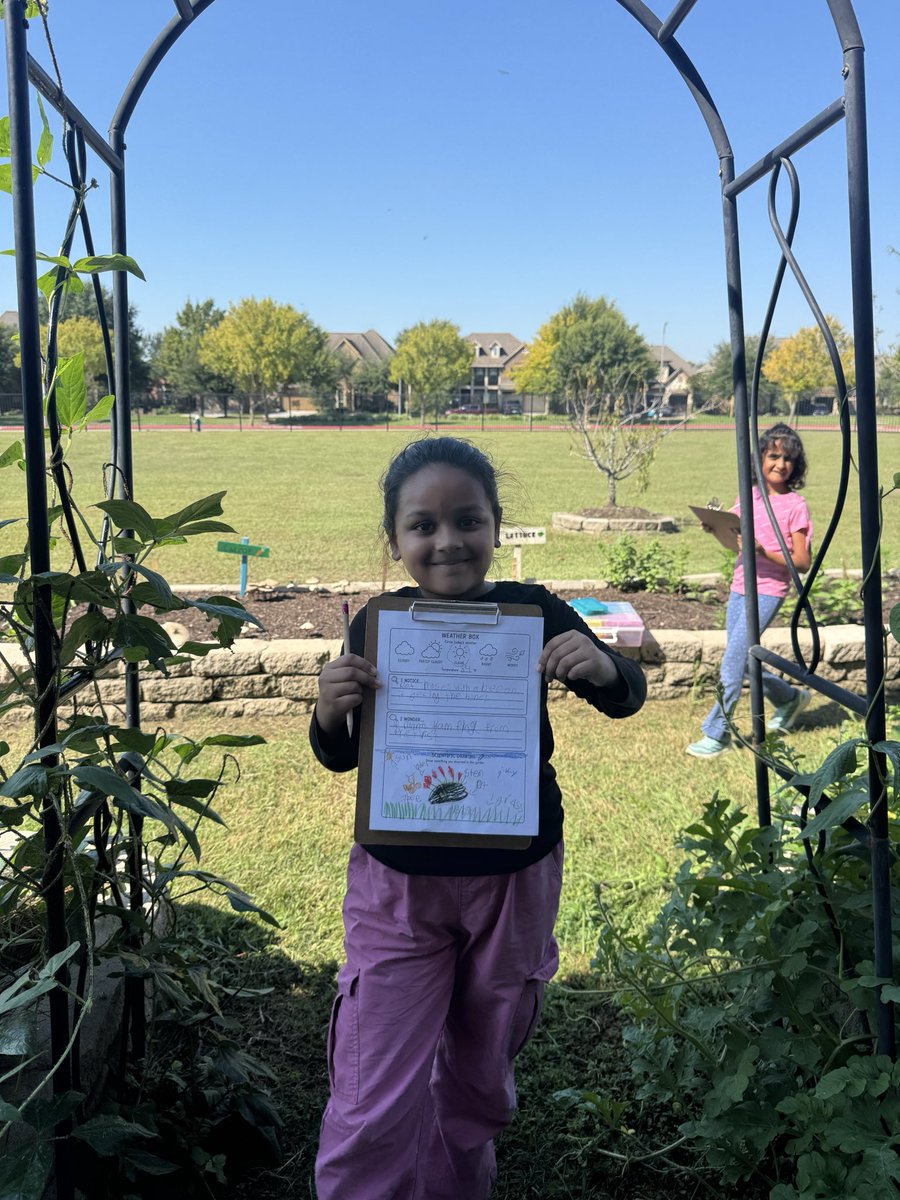 MsPaoliVegaRTGG's tweet photo. We’ve had such a beautiful day enjoying the garden! I’m alway impressed by the students’ technical drawing skills 🤩 @popepanthers @AguilarPopeMS @CyFairISD @CFISDScience @readygrowgarden #gardenday #schoolgarden #outdooreducation https://t.co/iqroJ8sgVm