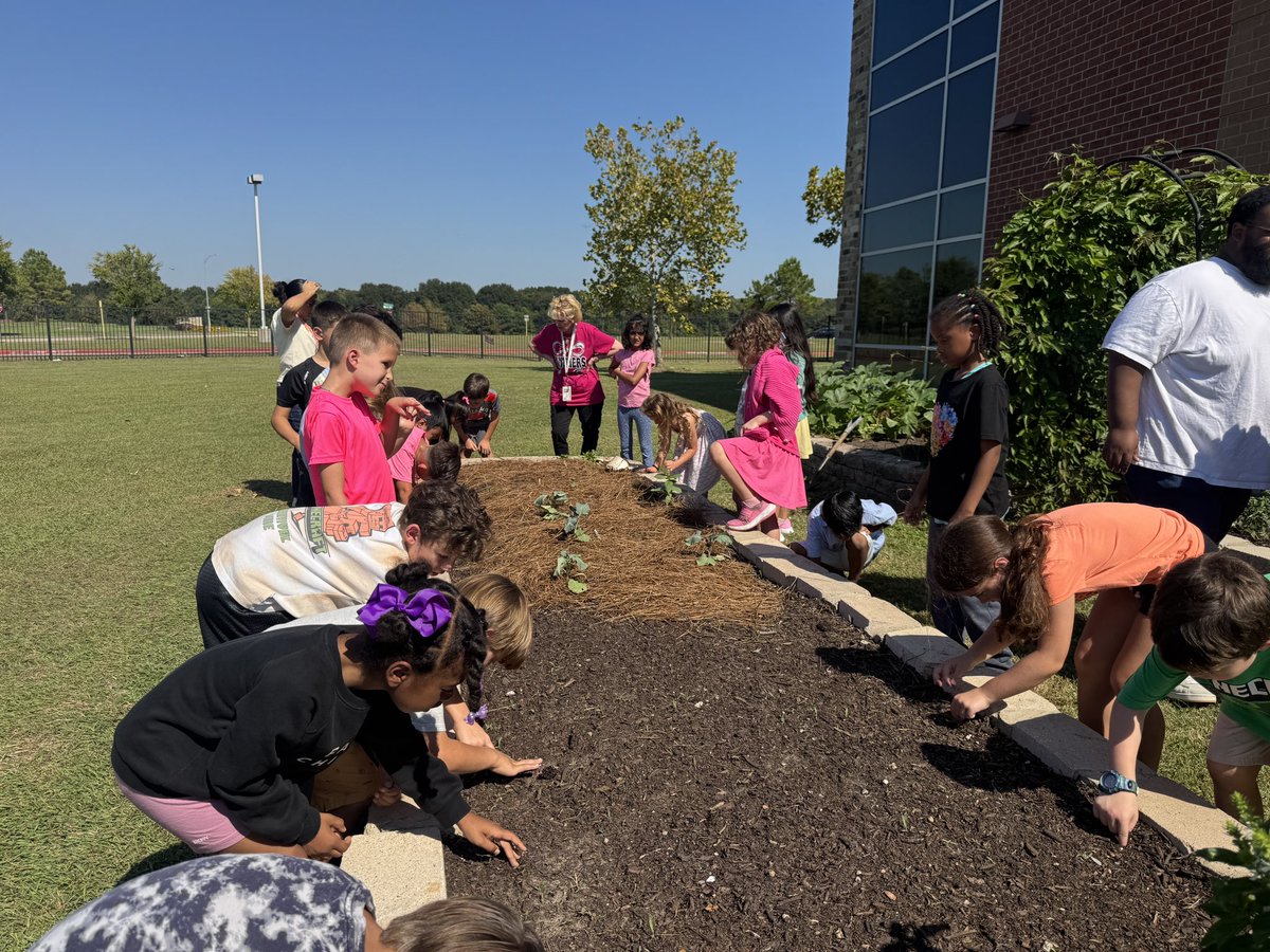 MsPaoliVegaRTGG's tweet photo. We’ve had such a beautiful day enjoying the garden! I’m alway impressed by the students’ technical drawing skills 🤩 @popepanthers @AguilarPopeMS @CyFairISD @CFISDScience @readygrowgarden #gardenday #schoolgarden #outdooreducation https://t.co/iqroJ8sgVm