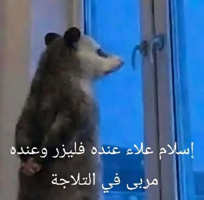 Memesawyy's tweet photo. https://t.co/pqGnP7vr5m