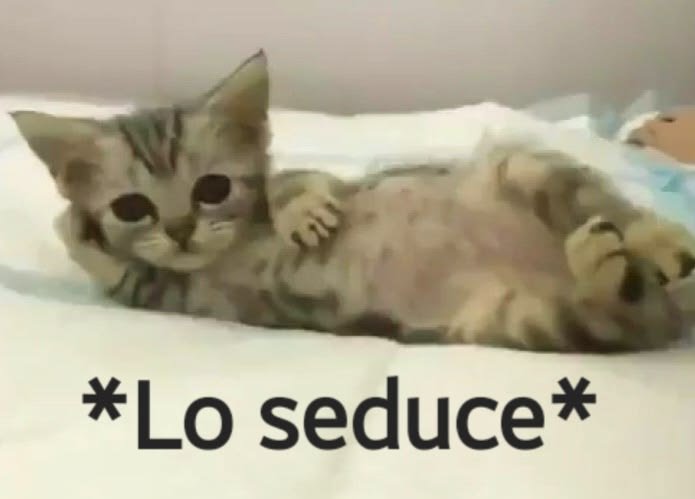 disfercio's tweet photo. @inn3favelmente Meu Deus, uma gatinha da raça seduzência... https://t.co/nxNoiHPkWD