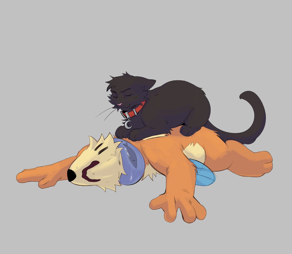 SoggyBuizel's tweet photo. If the cat fits, the cat sits. I just wish he could have chosen somewhere else to drop those danglers.. https://t.co/61BeFBGY9P