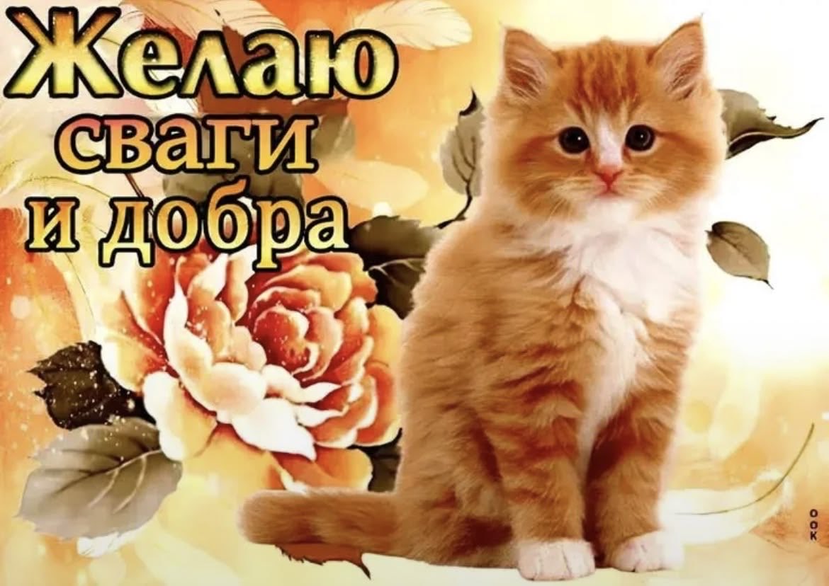 anchutkapo's tweet photo. поиск мью 🫂💕🧚‍♂️

рисую картинки, малюю лица,  играю в кр, давайте поможем друг другу 🫵🏻😽🤏🏻

тгк: хьюмидор (https://t.co/weC41luxDp)

#поискмью https://t.co/xRMAWDo3vF