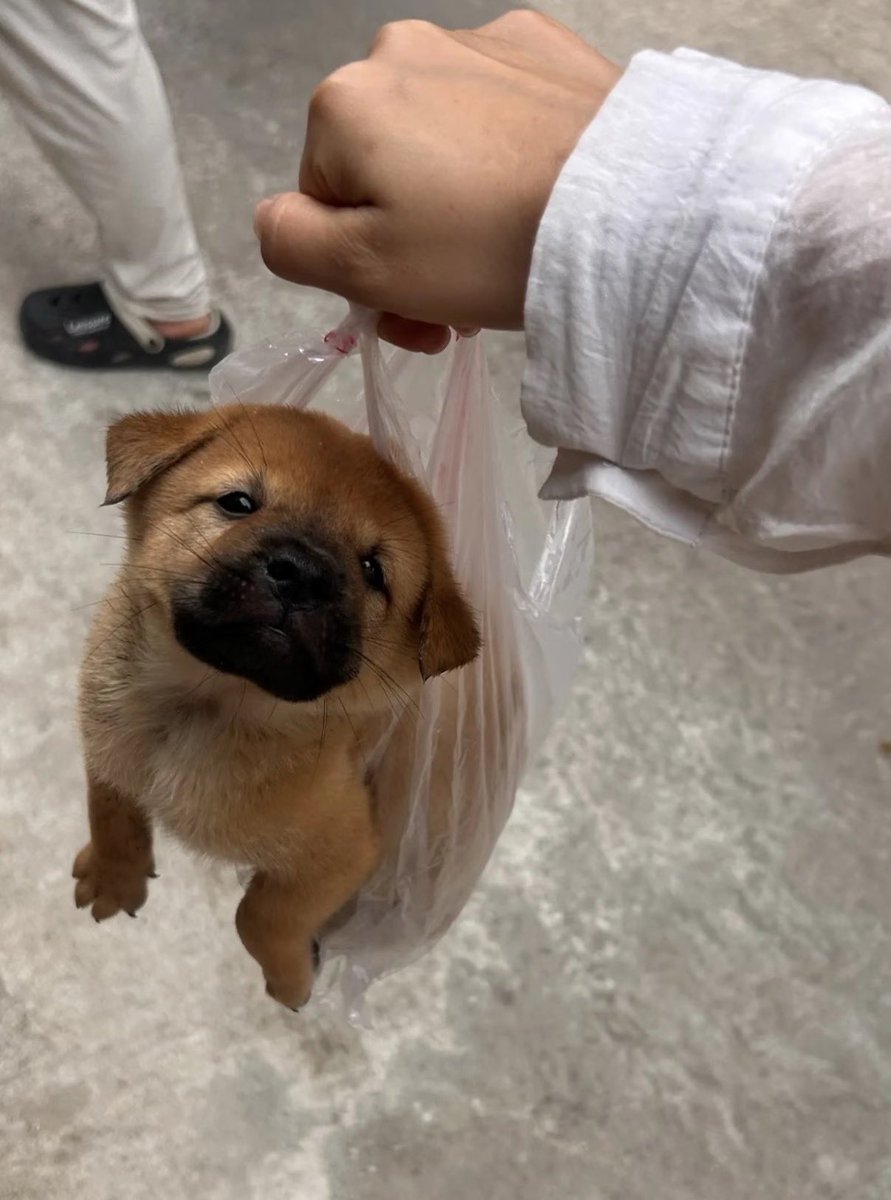 twaniimals's tweet photo. https://t.co/GUKp5fFkXA