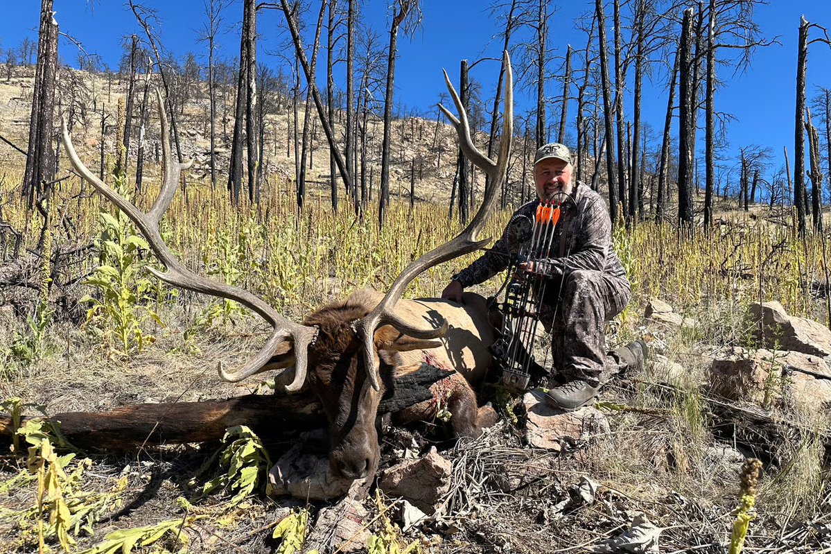HookBarrelMag's tweet photo. Success in the Montana elk woods 🔥 https://t.co/w9CcV2QYug