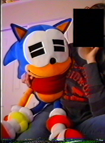 echotursiops's tweet photo. Me and the evil demonic hedgehog from hell https://t.co/PNqhnharID