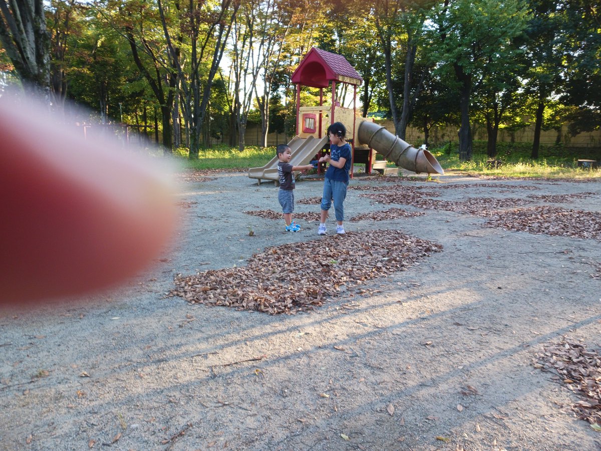 eccgg's tweet photo. 学校帰って公園！長い木の枝を取り合い中。
坊主頭の3歳長男は頭を蚊にさされまくる！
#子育て
#４児のパパ https://t.co/QwetXWmhLm