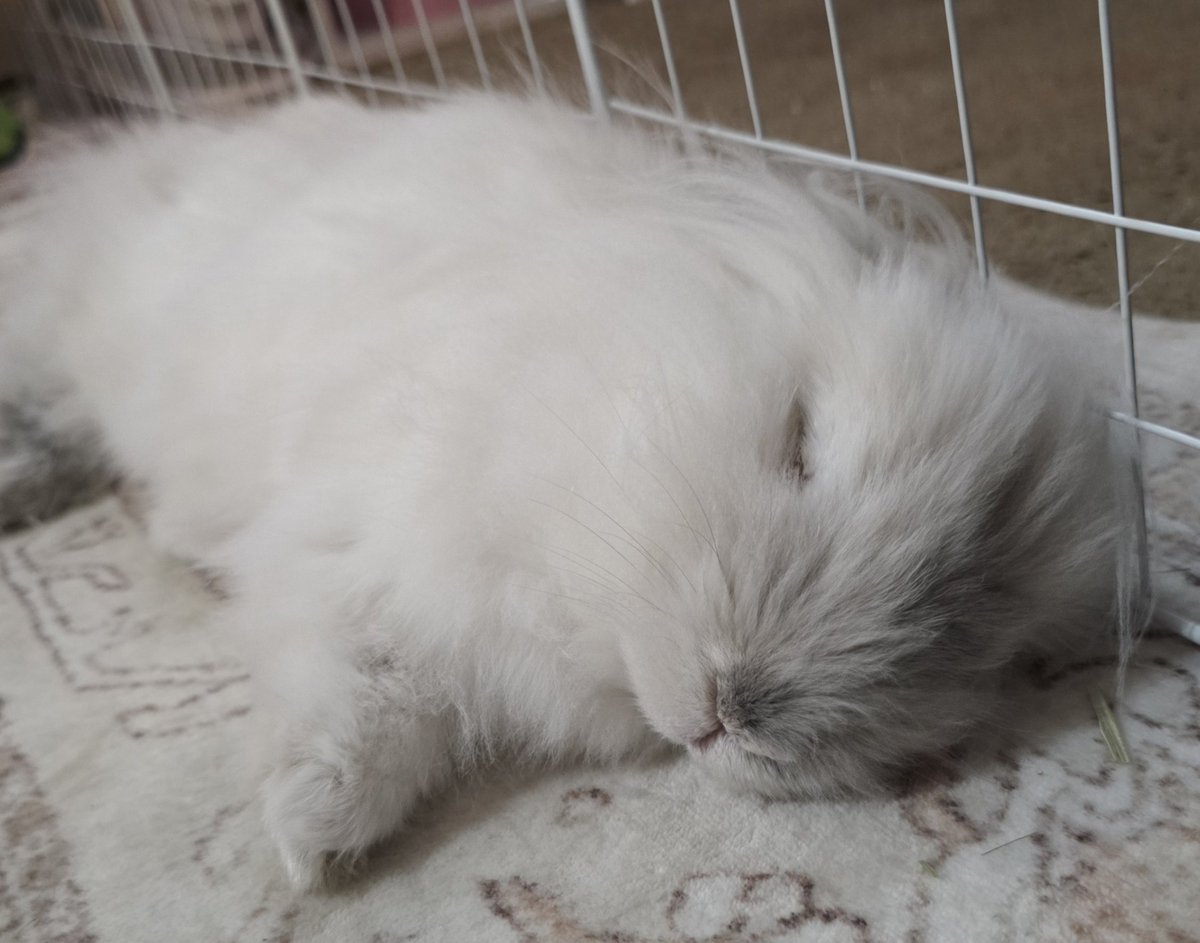 xLightsOutx's tweet photo. angels need rest too https://t.co/Ofz6b8WDXC