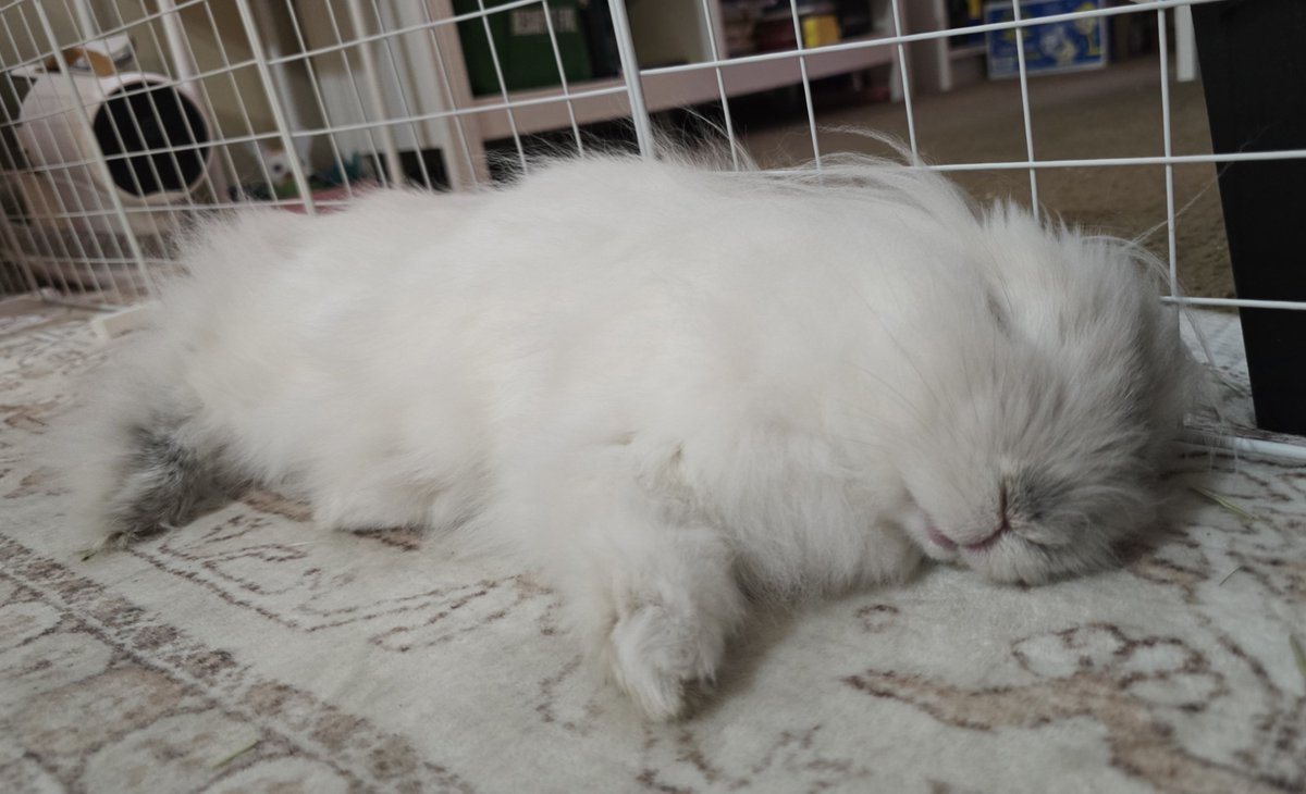 xLightsOutx's tweet photo. angels need rest too https://t.co/Ofz6b8WDXC
