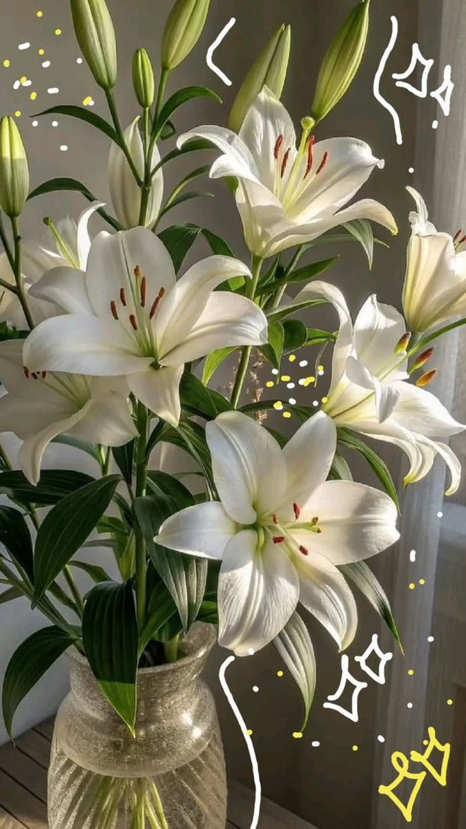 FLOWERS3700's tweet photo. https://t.co/20ewlRSXyZ