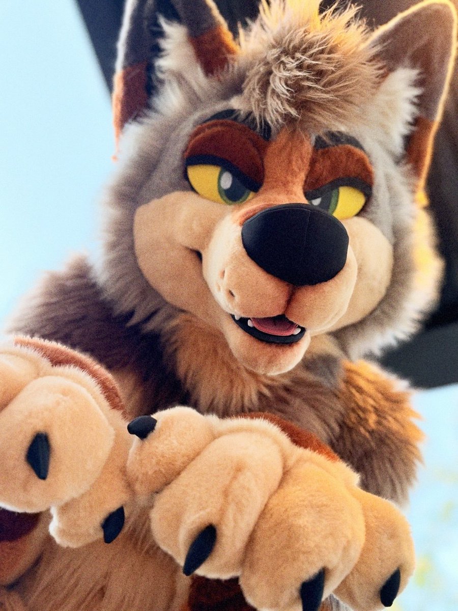kilometers's tweet photo. Golden Yote ☀️  

🪡: jaycostumes https://t.co/fp3uYgfj32