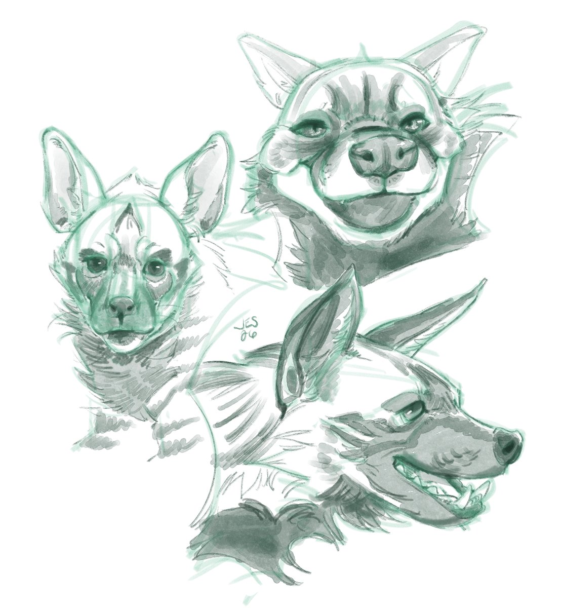 burdteeth's tweet photo. Maybe I'll post everything I draw idk

I like hyenas https://t.co/96a1D8TUiv