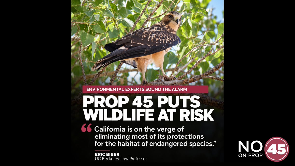 noprop45ca's tweet photo. Protecting wildlife means protecting the places they call home. California environmental experts warn Prop 45 would weaken safeguards for endangered species habitat. Stand up for California’s wildlife. Vote NO on Prop 45. #NoOn45CA #Prop45 https://t.co/Ai4t4hGEMr