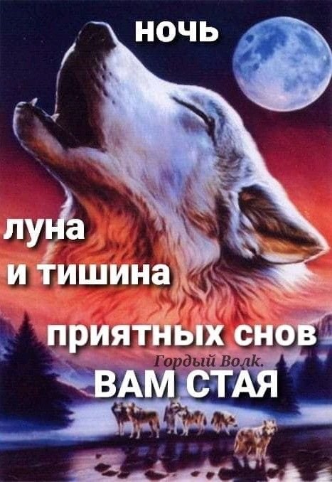 tECcik67's tweet photo. Большой босс не оценил картинку. Пошел он. А вам..
Пусть эта ночь укроет тебя, как тёплый плед, и убаюкает до самого утра.😛 https://t.co/Ledx2SJV7W