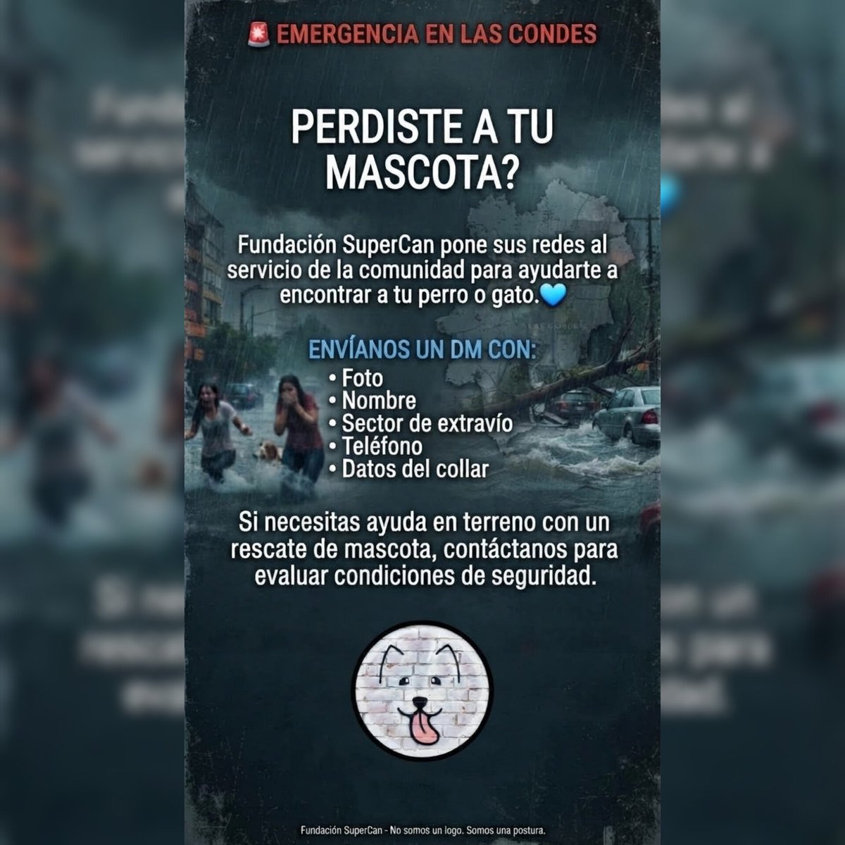Kristian_Mella's tweet photo. QUERIDA COMUNIDAD 😔💔

Lamentamos informar que este es uno de los primeros perritos desaparecidos arrastrados por el aluvión

Nombre: Rex
Sector: San Ramón Poniente cerca del Paseo Los Dominicos.
Por favor si sabes de él y estás en el sector contáctanos al +56 9 5092 2085 https://t.co/dDHeC5cE83