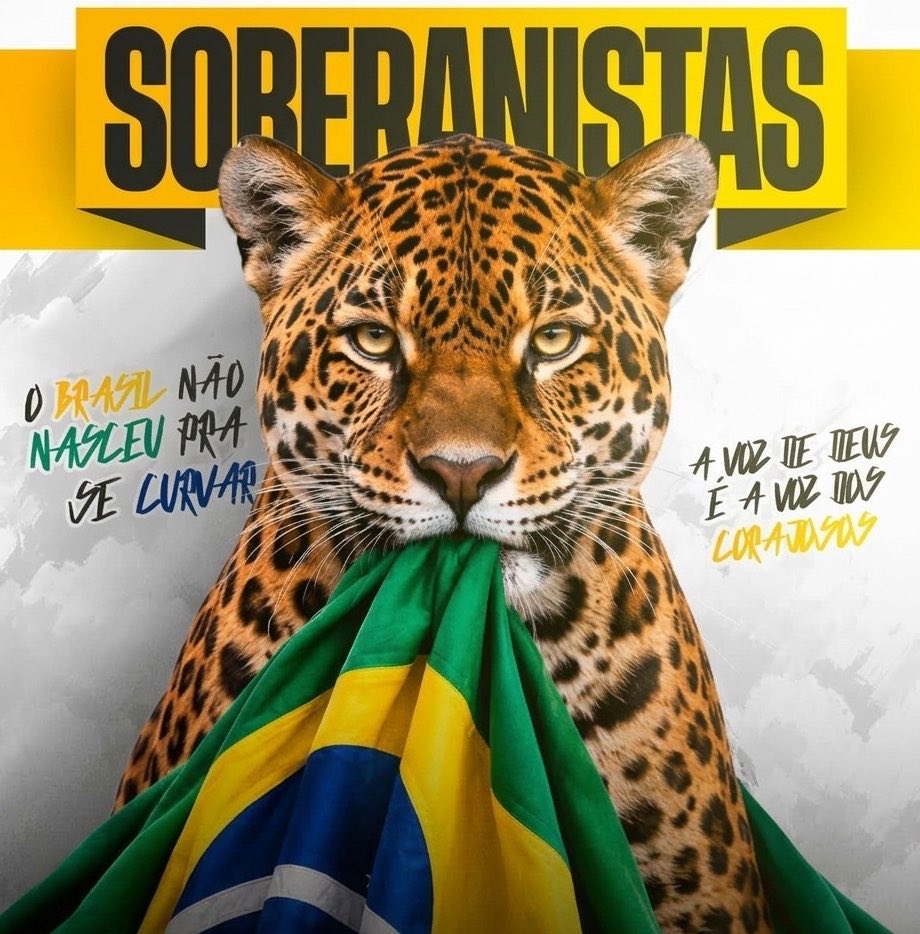 LucasBalazs's tweet photo. Não importa o que faremos ou como, defenderemos nossa pátria amada da melhor forma e deixaremos que o Brasil defina seu próprio destino, disputando o top 5 do mundo.

A síntese de tudo é que a melhor definição para nós, atualmente, é a de “SOBERANISTAS”. https://t.co/qguSX9QXMV
