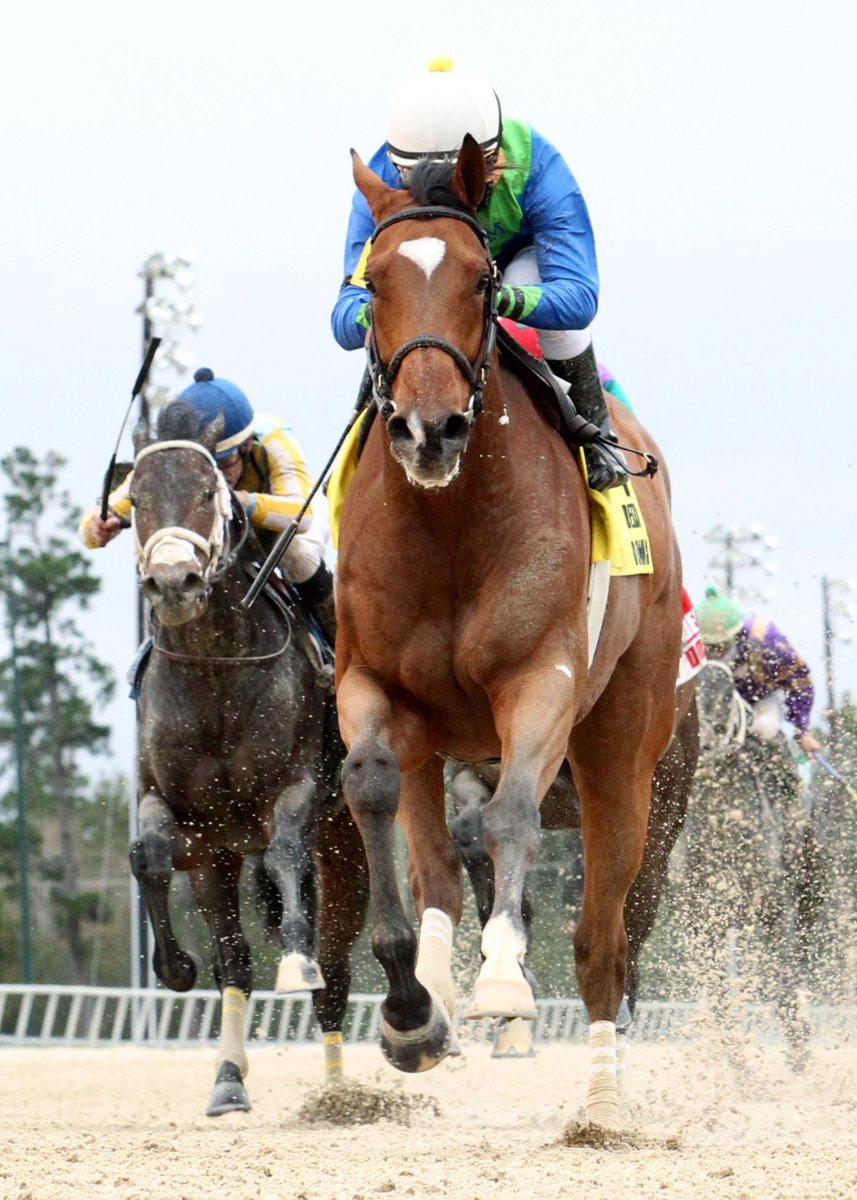 deltaracing's tweet photo. Exciting live Thoroughbred racing returns to Delta Downs on Friday, October 9! Don't miss any of the action. First post time Friday and Saturday is at 4:40pm. https://t.co/Bq3449Mgy8