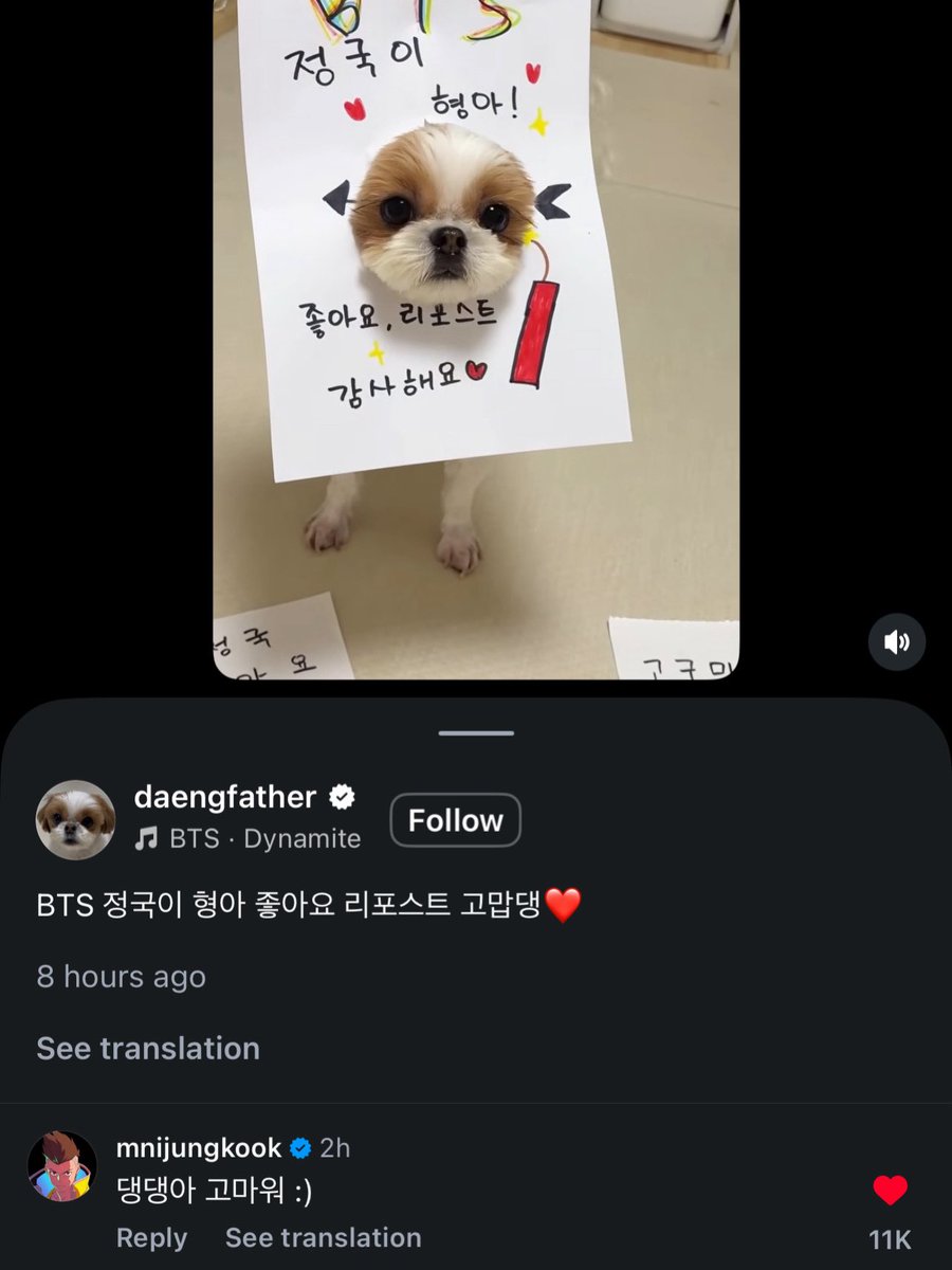 jkcolector's tweet photo. jungkook reposted and commented on this reel:
🐶: “jungkook of bts hyung, thank you for the like and repost ❤️”
💁🏻‍♂️: daeng, you have sweet potato here, do you prefer likes from all over the world or likes from jungkook?
🐶: *picks likes from jungkook* 
🐰: thank you puppy :) https://t.co/FTllra1VGs
