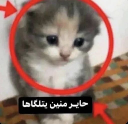 lovsje's tweet photo. جاني إشعار اربع رسائل ولما دخلت مالقيت شي ليهه تسوون فيني كذا https://t.co/HtJBqdxwtC