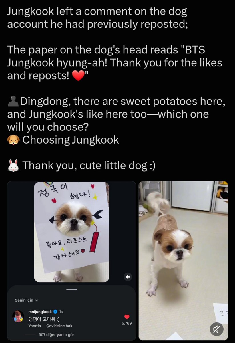 Shvarieone_097's tweet photo. These past few days, Jungkook's been constantly liking and reposting videos from a puppy account. That cute pup looks really familiar🐶 https://t.co/NhpBv0KnUr