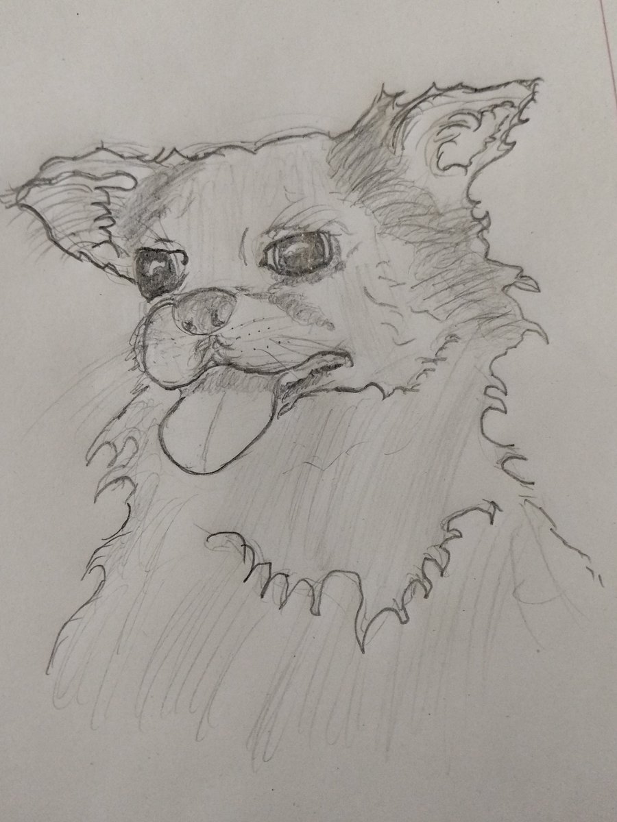 RemyDouchie's tweet photo. Un dibujo de mi bebé ❤️ https://t.co/AztLDJZYd1