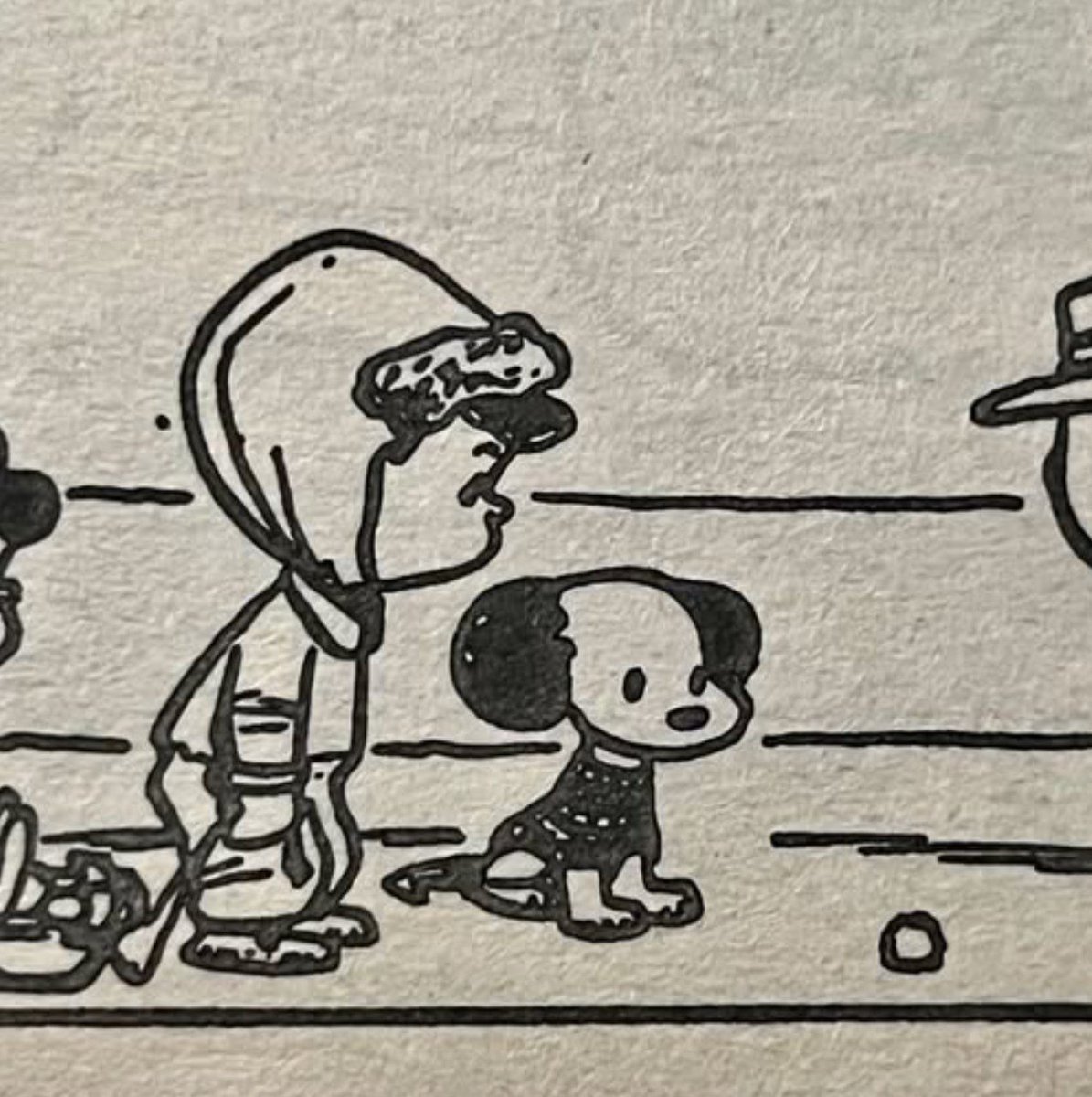 DaSilva44003's tweet photo. Não existe nada mais fofo que o Snoopy filhote usando suéter 🐶❤️ https://t.co/mapaewHoEq