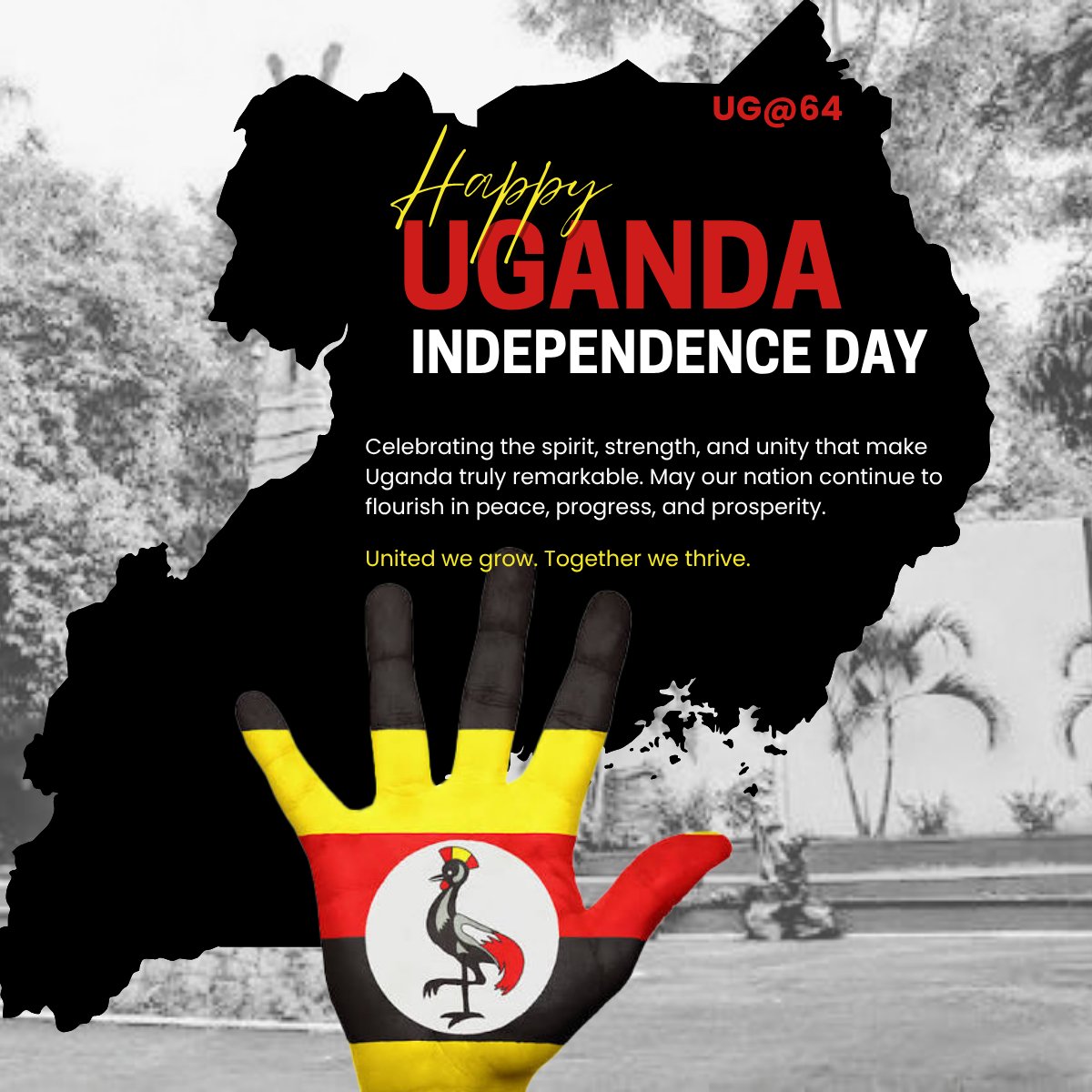 tracecorpsol's tweet photo. 🇺🇬 Happy 64th Independence Day, Uganda.

Celebrating our journey, honouring our resilience, and embracing a future filled with peace, progress, and prosperity.

#UgandaAt64 #IndependenceDay #TracecorpSolutions https://t.co/41VTM4qK8M
