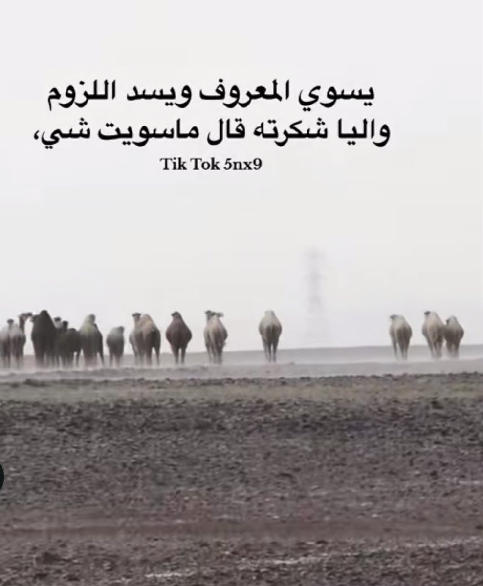 srrrxh's tweet photo. الناس اللي معبيه حياتنا♥️ https://t.co/n7tCLQv7Q2
