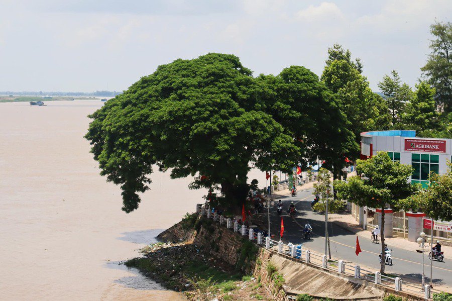 Bt179360's tweet photo. có chị em nào ở chỗ này hông vậy
ib nch làm quen đi 
#TânChâuAnGiang https://t.co/LZBW6378OF