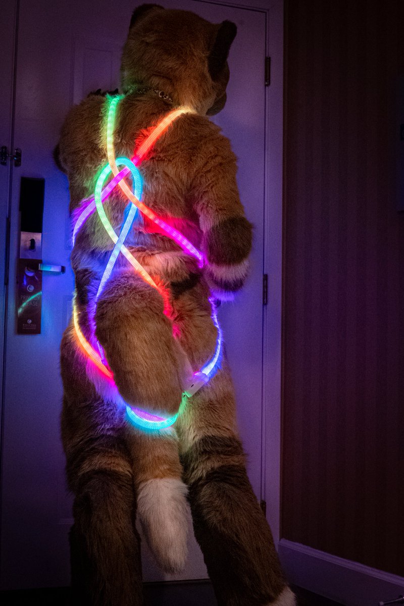 Ravelights's tweet photo. A harness that lights you up https://t.co/FpcLqWbe4w
