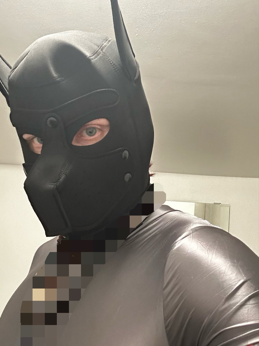 FriesianCock's tweet photo. He/Him | They/Them | Pan/Bi🏳️‍🌈 
Pup with a love for school uniform &amp; wet look &amp; toys 🔞
Adult content creator, fetish &amp; kink…
DM for menu, or requests… https://t.co/T5CSVzziOg
