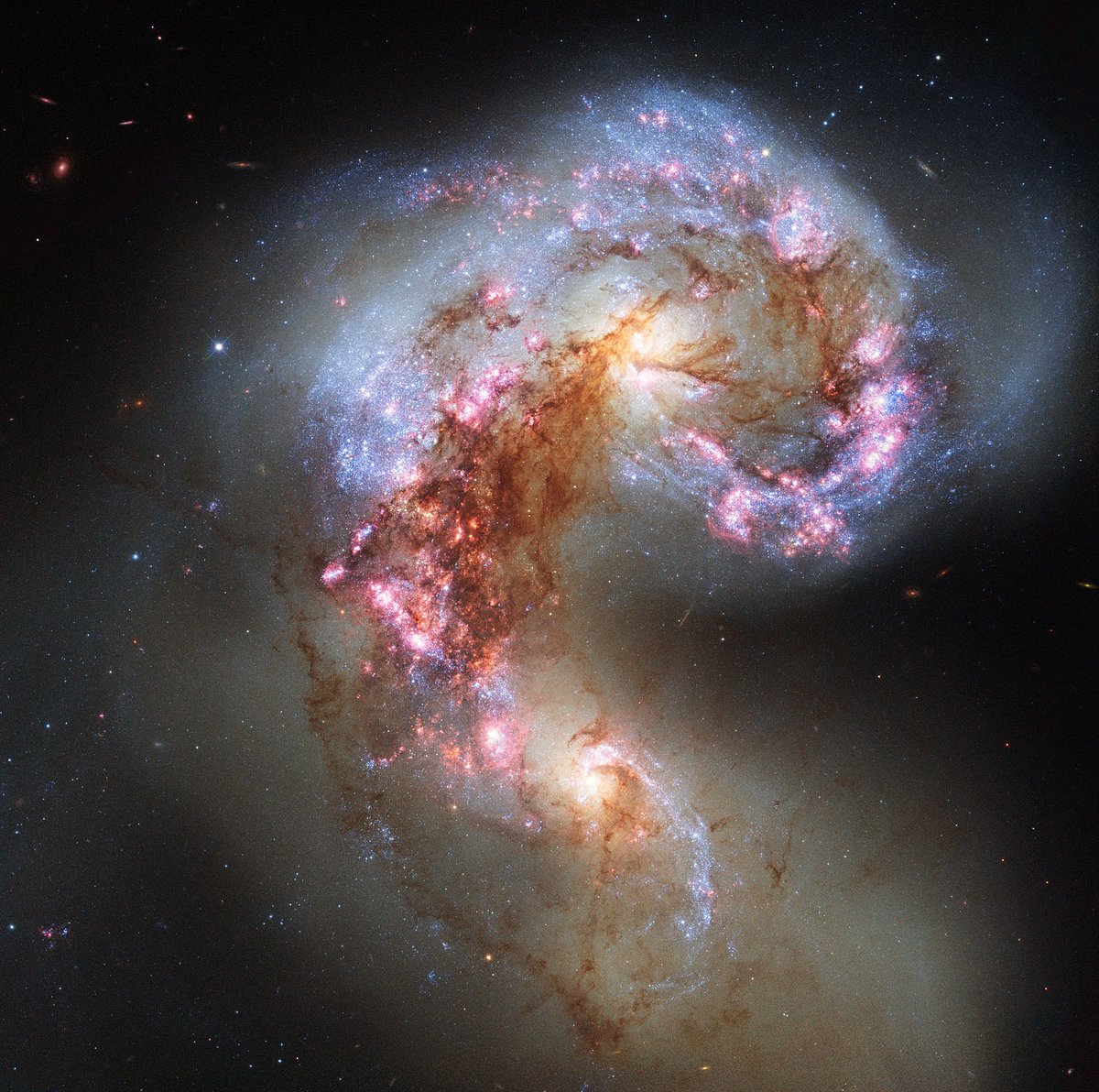 sarahsalviander's tweet photo. Earth is the only planet we know of with life on it. It may be the only one of its kind in the universe, and it may not. But there's no doubt that planets like Earth are rare. So, why did God make the universe so big? Why make hundreds of billions of galaxies if they're not all brimming over with life? Isn't it all just wasted space?

Maybe for someone who has a scarcity mindset, but that's not our Creator. 

Humans build with limitations in mind - we're constrained by time, space, budgets, intelligence, knowledge, and finite resources. 

But not God. 

He is outside of time and space, he has no budget to work against, his intelligence and knowledge are unimaginably vast, and he has infinite resources. So, why would would he limit himself? Why not make a breathtaking "over-designed" universe filled with wonders? 

If this kind of discussion interest you, you might enjoy my new book, coming out next month, called The Heavens Declare. It's available for pre-order now.

https://t.co/0rF4wsq34T

You might also enjoy my newsletter, Schrödinger's Poodle, where I do deeper dives on topics like this and more.

https://t.co/Bp0n7wxVnU