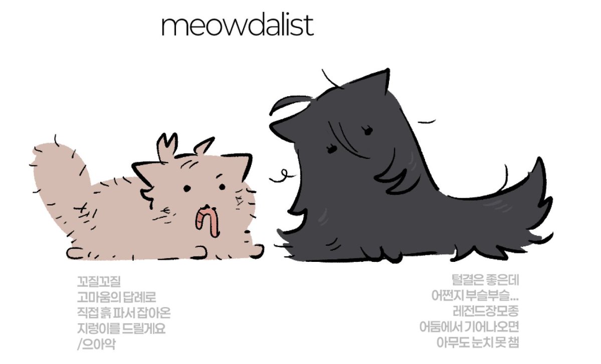 suzolz_'s tweet photo. meowdalist (ㅈㅅ) https://t.co/l06T0IVHVx
