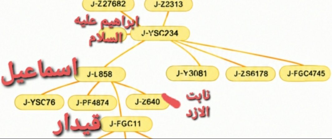 HryashM73014's tweet photo. اسماعيل #l858
نابت الازد #z640
قيدار #FGC11
عبد شمس بن الهميسع بن تيمن بن نبت بن قيدار إسماعيل #FGC3723
ادد #FGC1722
عدنان #FGC1720
اخاه الاشعر #s20171
عك بن عدنان #FGC54321
معد #FGC1723 https://t.co/RpI39ZQghC