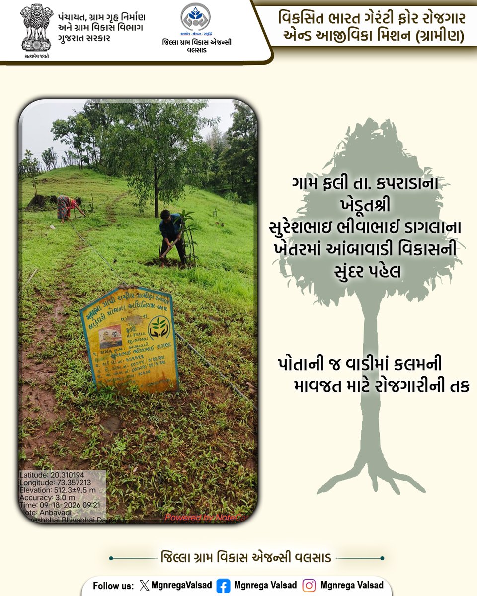 MgnregaValsad's tweet photo. ગામ ફલી ખેડૂત શ્રી સુરેશભાઇના ખેતરમાં આંબાવાડી વિકાસની સુંદર પહેલ #VBGRAMG #ViksitBharat_GRAMG #GRAMG #CRD_GUJARAT #125daysGuarantee_G_RAM_G #125_RozgarKiNayiGuarantee #ViksitBharat_G_RAM_G #MoRD #RuralEmployment #ddovalsad #collector_valsad #cmogujarat #crdgujarat1 https://t.co/IfKKOEYG13