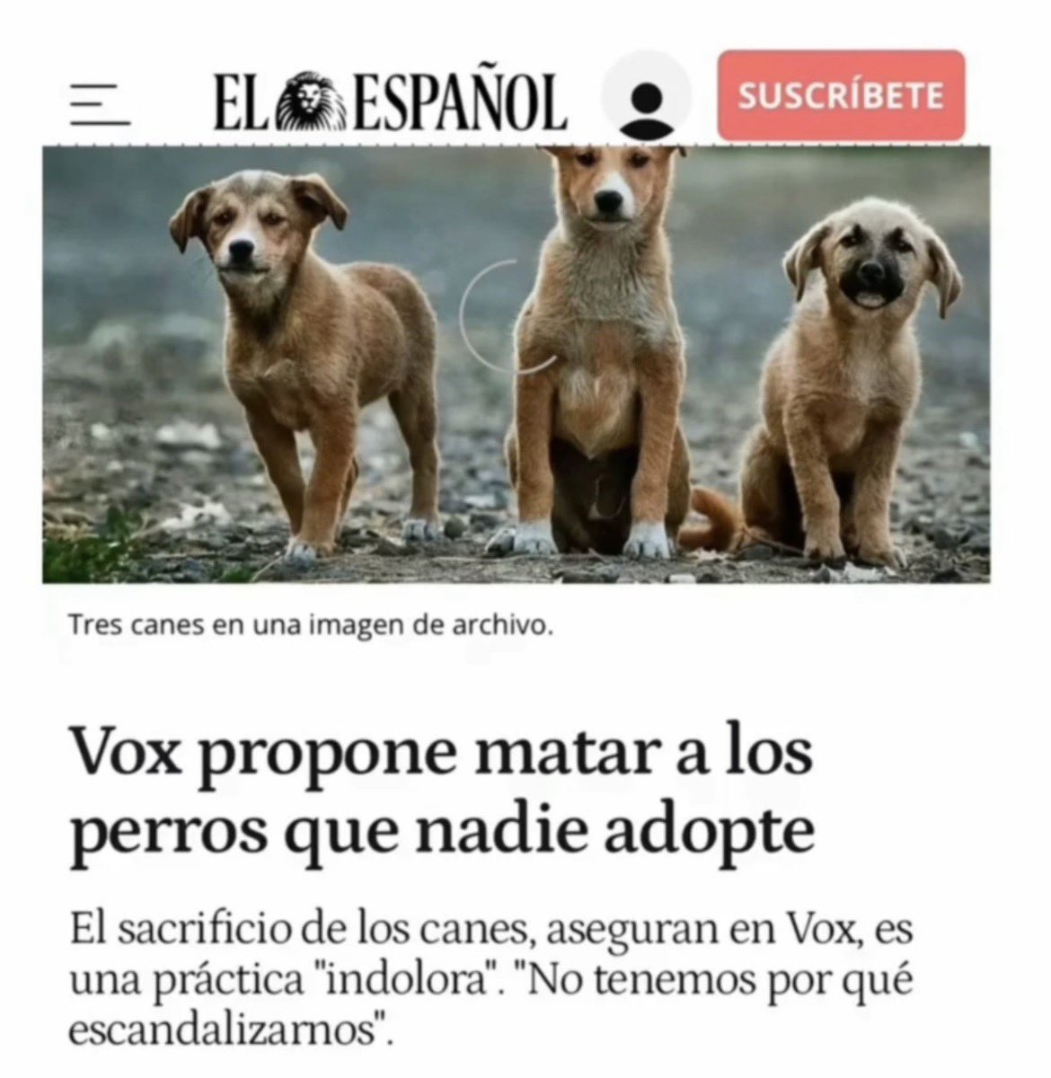 Vigoreturn's tweet photo. El nivel de indigencia mental de Vox es sublime ⬇️⬇️⬇️ https://t.co/PD73uGhTgR