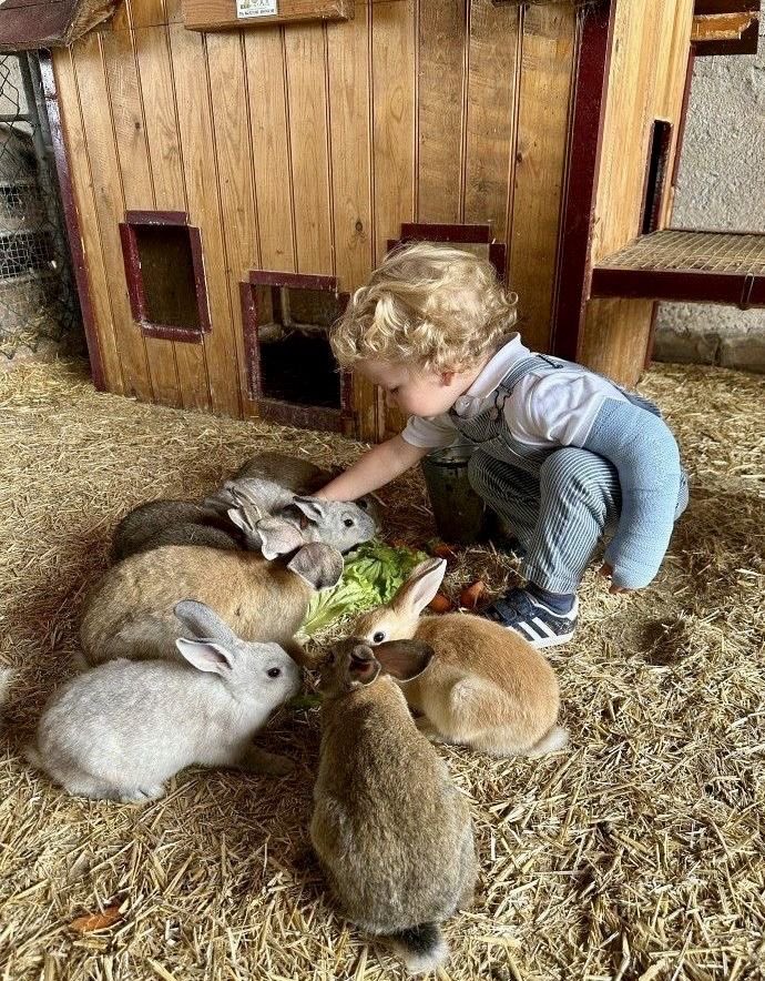 lunecrumbss's tweet photo. how my kids will grow up https://t.co/gDyt4M7Oew