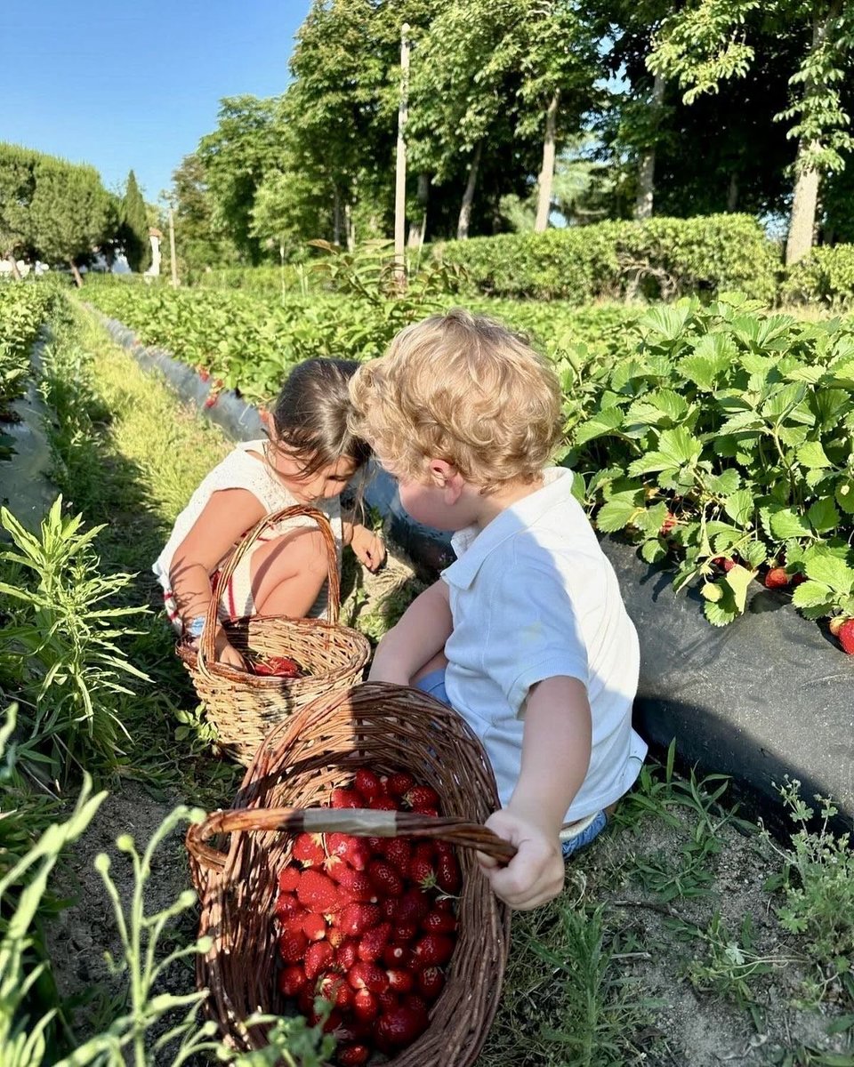 lunecrumbss's tweet photo. how my kids will grow up https://t.co/gDyt4M7Oew