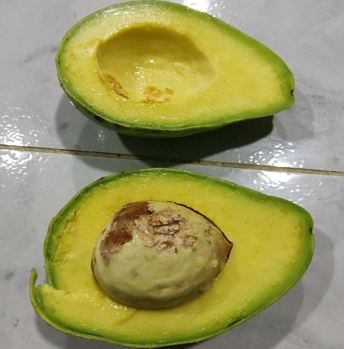 costenosbq's tweet photo. Larga vida a los aguacates Colombianos ❤🇨🇴 https://t.co/GWL4WrjVmn