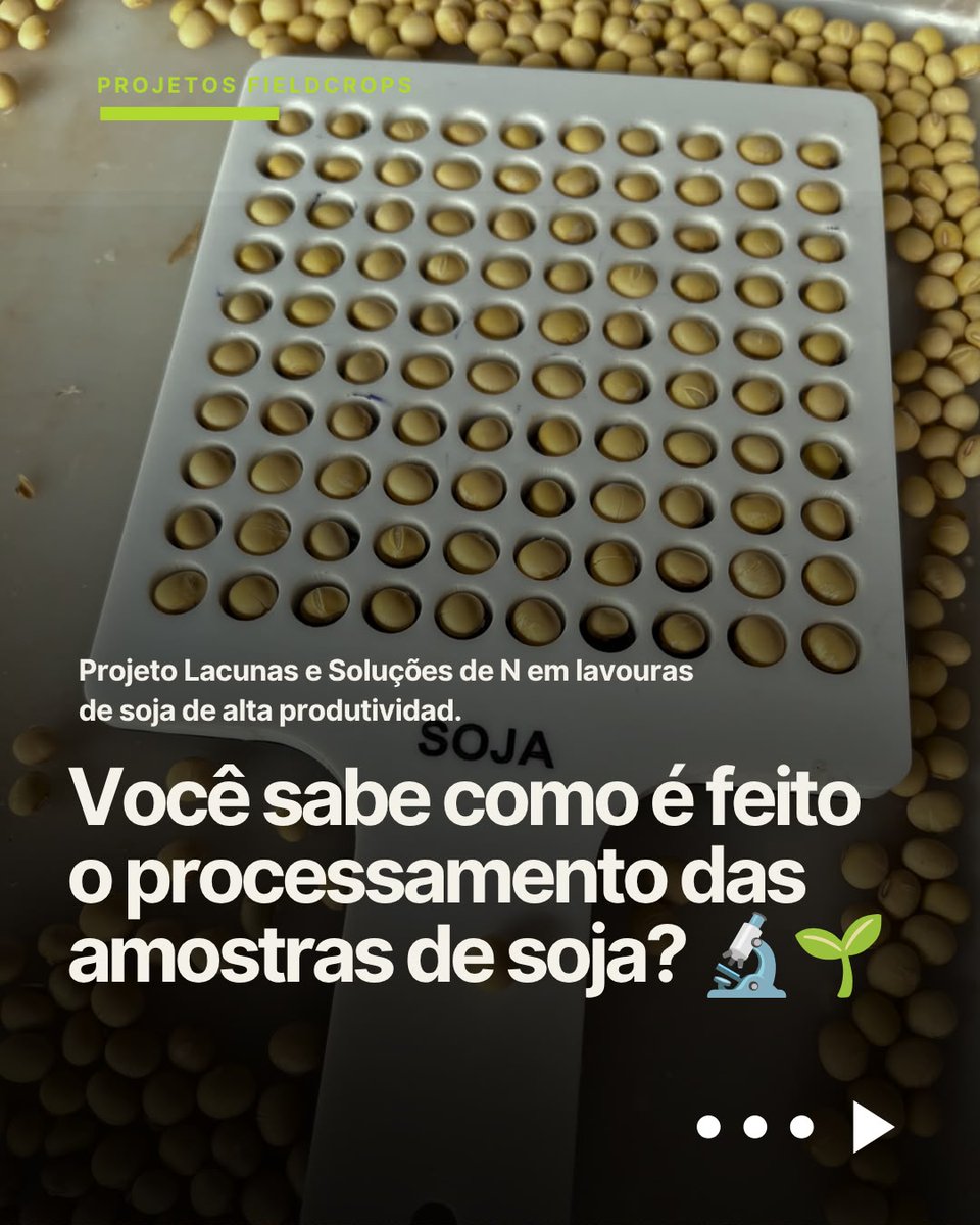 efieldcrops's tweet photo. Avançando com o projeto Lacunas e Soluções de N🌱.

O trabalho no Centro de Operações da Equipe FieldCrops segue em ritmo acelerado no processamento e análise rigorosa de amostras provenientes das lavouras de soja de alta produtividade! 🎯🌱 https://t.co/1asmLfMn1W